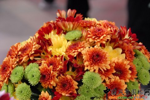 Deliflor��˾����Ʒ�N