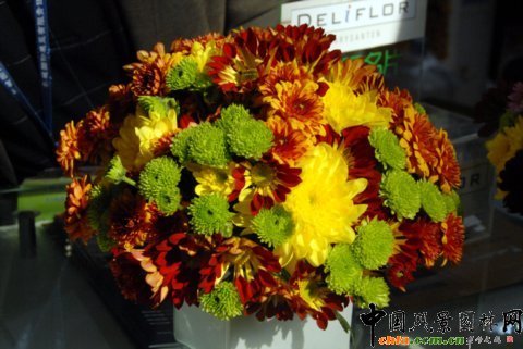 Deliflor��˾����Ʒ�N