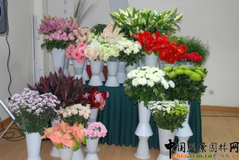 Deliflor��˾����Ʒ�N