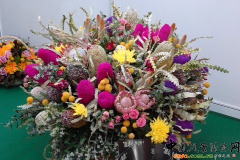 �Ĵ������ı�������