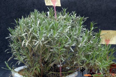 ��12�û��܈@ˇչ�ϵ���������