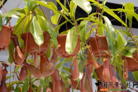 ����M�D����12�û��܈@ˇչ�ϵ���������