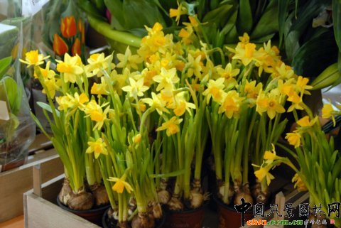 ����M�D����12�û��܈@ˇչ�ϵ���������