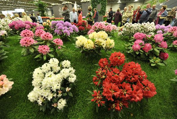 ��34�ø��ػ�չ�ڱ����r�������и����_Ļ