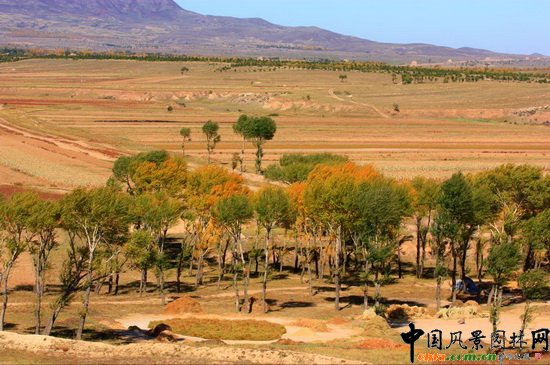 Ħ��X�L���L�����م^�hĹȺ��߅�L�� Landscape around Tombs in Han Dynasty