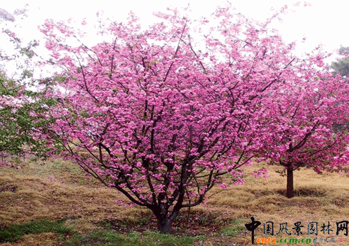 �F(xi��n)�����ģ��ף�