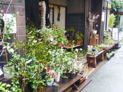 �|���y��ɽҰ���ݵ�ʰ��(�M�D)