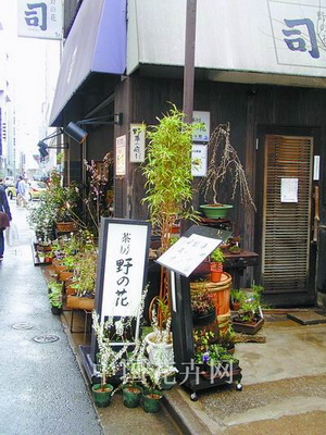 �|���y��ɽҰ���ݵ�ʰ��(�M�D)