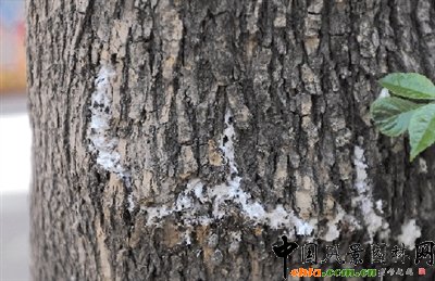 ���ݣ�200��ð�Ϟ������������