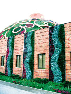 �Ϻ����������^�^���桰�����G ̎̎��(bi��o)�¡������G