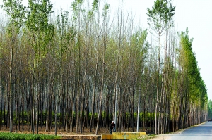 ��������ɽ�^�׶���Ű�Љİٮ����� �������֟o��