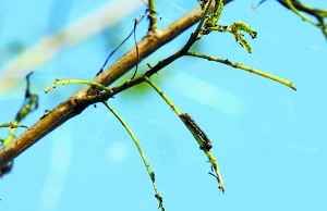 ��������ɽ�^�׶���Ű�Љİٮ����� �������֟o��