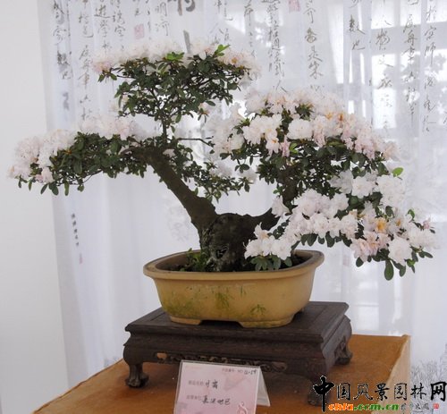 �ڰˌö��N��չ�@��(ji��ng)��Ʒ