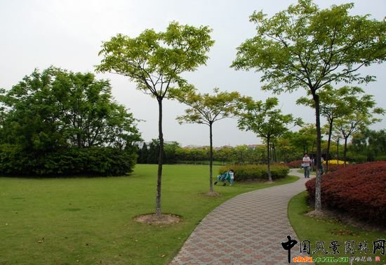 �Ϻ���WУ�@�G�����^