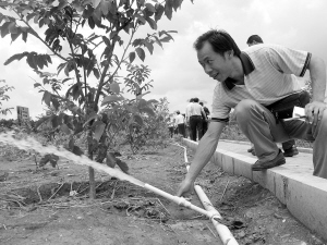 3800�f����ľ�oһ���� ���ϴ��е��������E