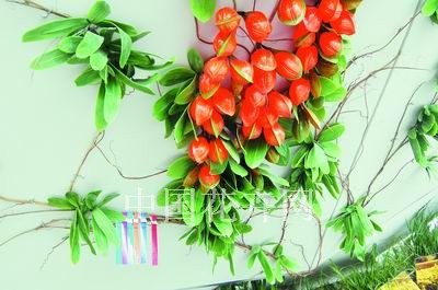 ���Ϻ�������(hu��)Ӣ��(gu��)�^ һ����δ����ʹ���ֲ��