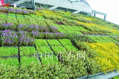 �����@��ľGɫ��̼�҈@ ׌�҂�һ�����w�(y��n)