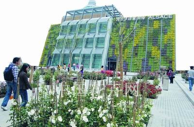 �����@��ľGɫ��̼�҈@ ׌�҂�һ�����w�(y��n)