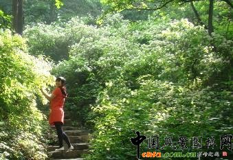 ���f�걩�R�����M��ʢ����