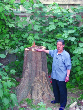 ɽ�|���ˮɼ�����T䏚� �l��(du��)���F��ľ�º�����