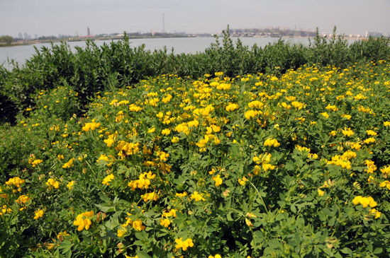 ���Ϻ��ǵľGɫӡӛ--���L�y���Ј@�־־��L(zh��ng)��c��