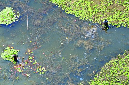 �K�ݣ��G�����T���ˮ���s�� �_���^�pֲ�｡�����L