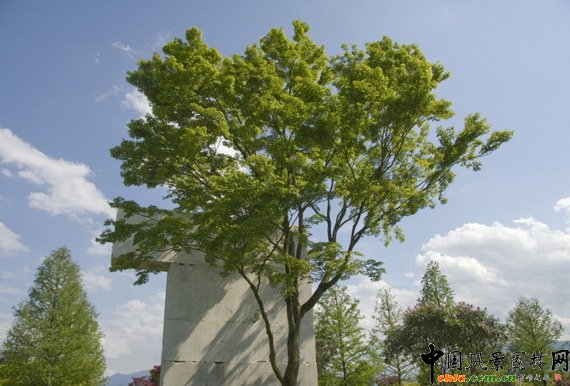 ��(sh��)�����^