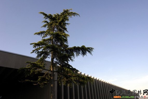 ��(sh��)�����^