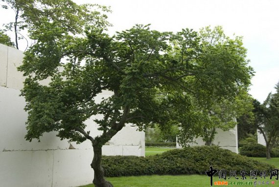 ��(sh��)�����^