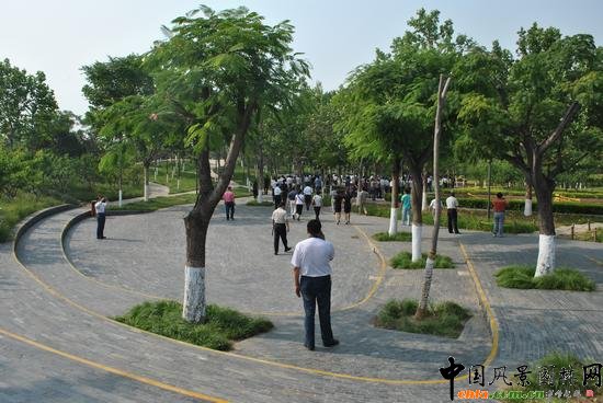 ��ɽ�P��ɽ���@����