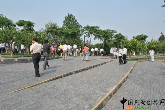 ��ɽ�P��ɽ���@����