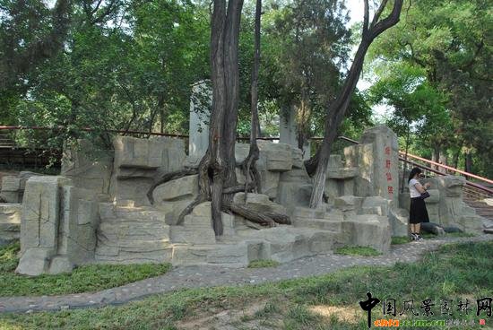 ��ɽ�P��ɽ���@����: