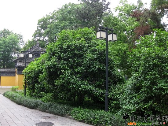 �����׷�Ϧ�ա�������犾��c(di��n)ֲ��䌍(sh��)�{(di��o)������