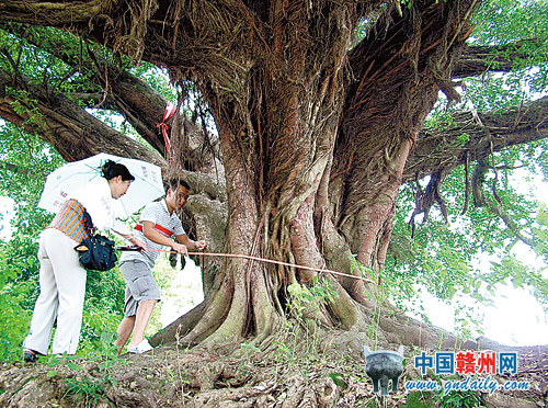 �D���M���Ј@�־ֹ����ˆT�ڜy��һ�ù��Ř���؏���