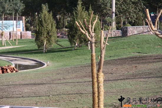 �¿��A���½��젖�������A�@�(xi��ng)Ŀ