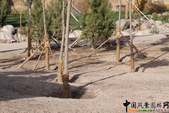 �¿��A���½��젖�������A�@�(xi��ng)Ŀ