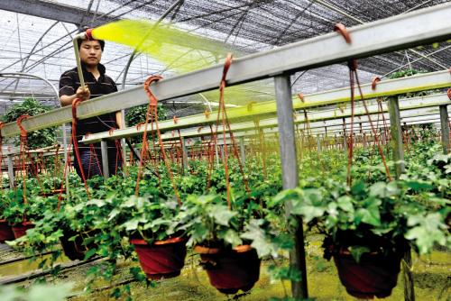 ���d������������ ֲ��Ҳ����D��