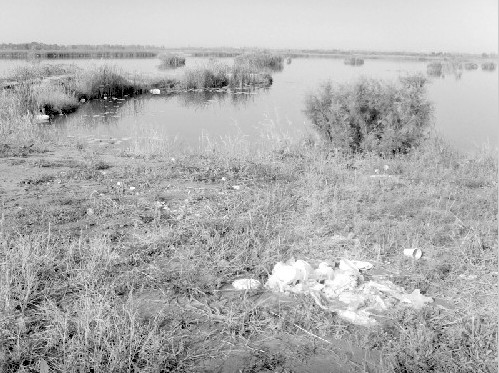 ɷ�L�����������g��������� �Ժ����Ո��������