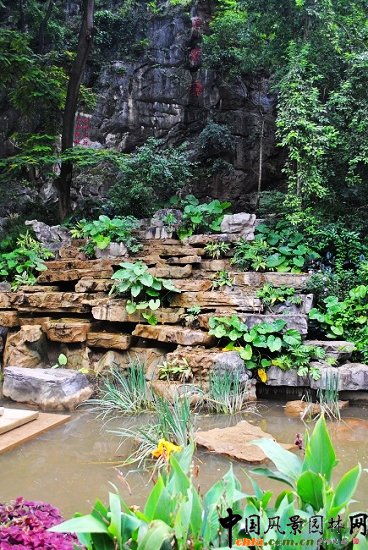 ������̩�������@