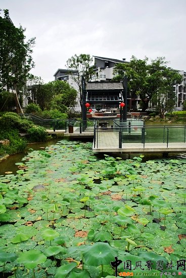 ������̩�������@