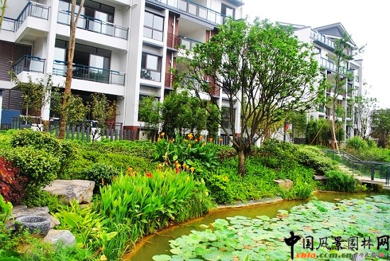 ������̩�������@