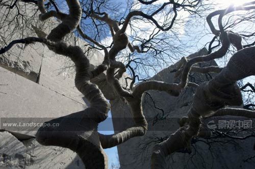 �c�����´��ڞg�[�DƬ