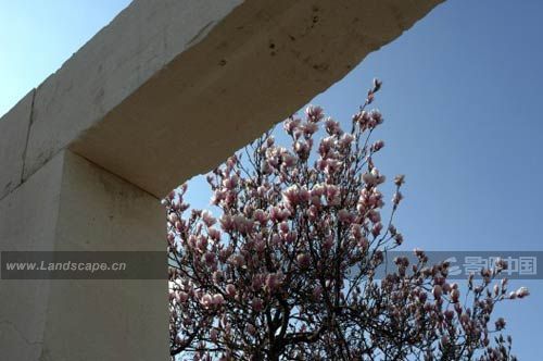 �c�����´��ڞg�[�DƬ