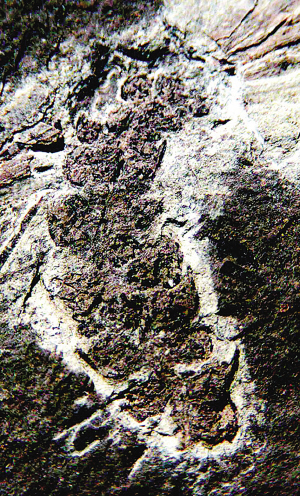 ���ϵ�һ�������`��1.8�|�� ������۴�o����