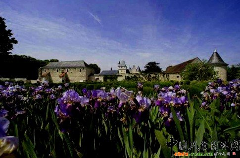 ��ܽ�Ǳ��@�փ�(n��i)ʮ����(g��)���}��(m��ng)�û��@������(gu��)�Ļ��������顰���c(di��n)���@��