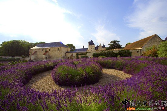 �@ˇ����ľS�o(h��)