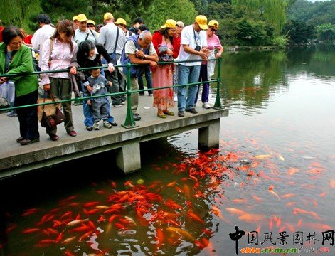 ����ʮ�����D���p