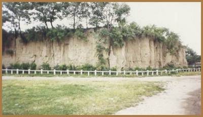 �����mǰ���zַ