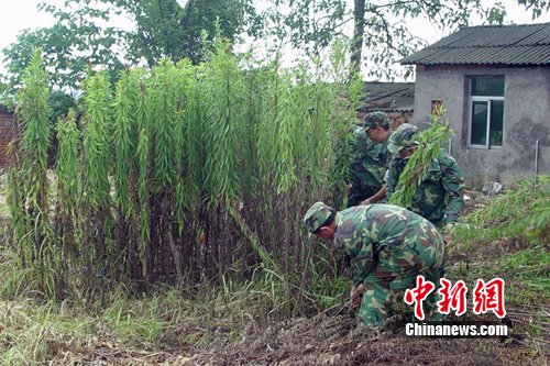 ������������Ű����26�h�� �����������죨�D��