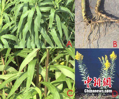 ������������Ű����26�h�� �����������죨�D��